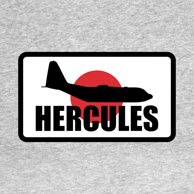 C-130 Hercules Japan by Firemission45